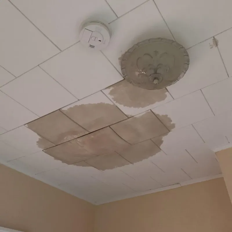 Ceiling Water Damage Repair in Andover, OH