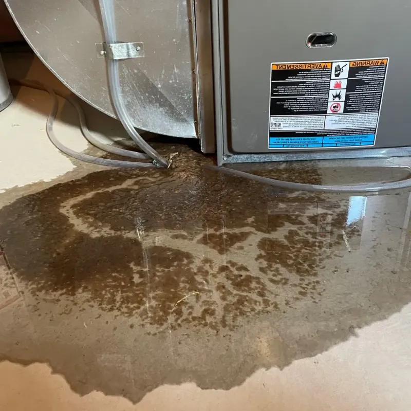 Pipe Burst and Leak Restoration in Andover, OH