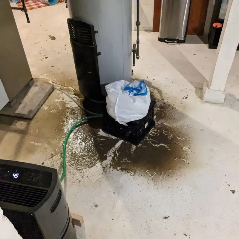 Sewage Backup Cleanup Service in Andover, OH